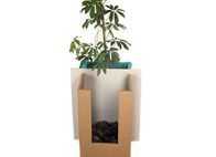 Φωτογραφία Στούντιο - Φάνης Λογοθέτης