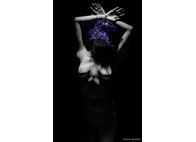 Studio  Photography - Fanis Logothetis