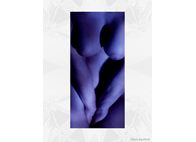 Studio  Photography - Fanis Logothetis