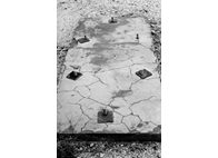 Studio  Photography - Fanis Logothetis