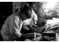 Φωτογραφία Στούντιο - Φάνης Λογοθέτης